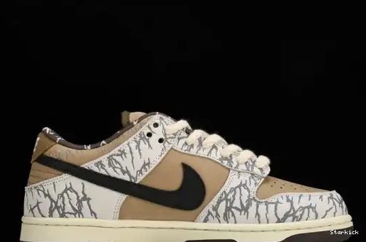  Nike  Dunk CT5053-010 QS SB PRM Low 0510